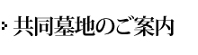 n̂ē