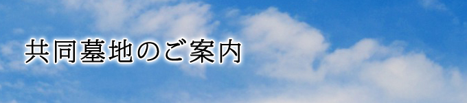 n̂ē